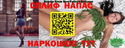 PSILOCYBIN Бузулук