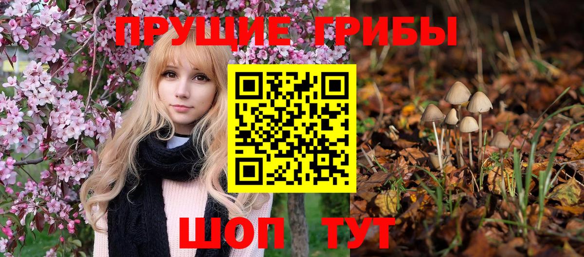 Псилоцибиновые грибы Magic Shrooms  Вход с VPN  Сегежа  Галлюциногенные грибы ЛСД 